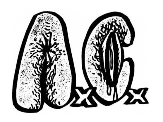 Anal Cunt Logo 102